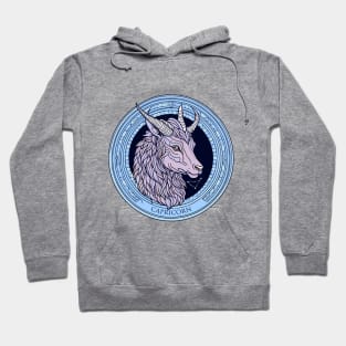 Capricorn Zodiac Sign Horoscope Hoodie